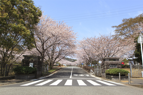 鎌倉霊園店 (鎌倉霊園内)