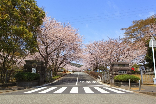 鎌倉霊園　正門写真